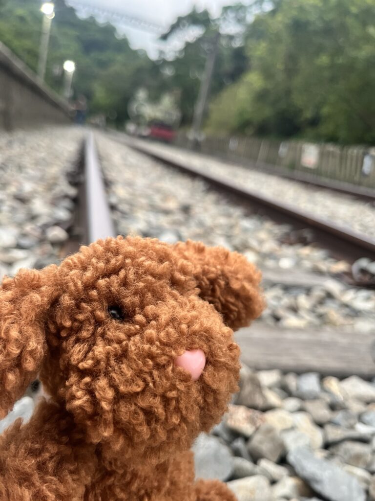 苗栗一日遊 2024.08.31（1）